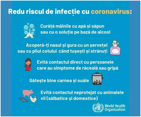 Cum să te informezi corect despre Coronavirus