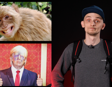 Trump lovit in față, Jefuit de maimuțe, Reporter live atacat de câine